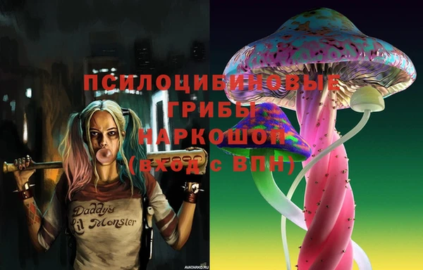 ПСИЛОЦИБИНОВЫЕ ГРИБЫ Абдулино