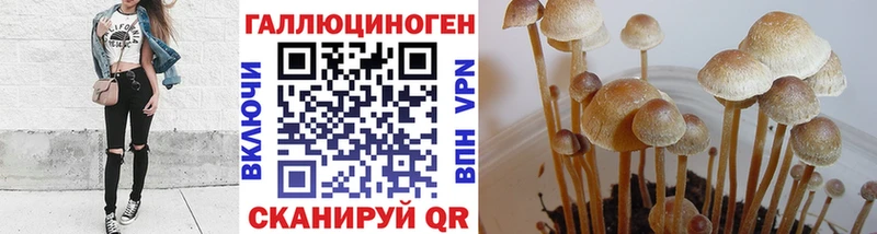 Галлюциногенные грибы мухоморы  Сычёвка 